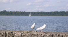 Nyaralások Salzburgban magyar idegenvezetéssel